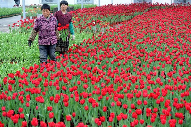 优游国际平台(UB8)官方网站- welcome